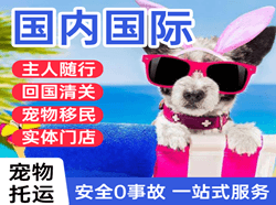 黄山空运地址国际宠物托运 【国